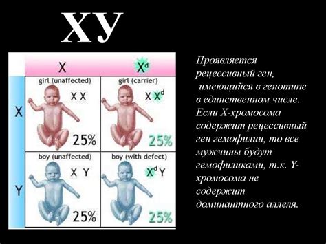Генетика пола - презентация онлайн