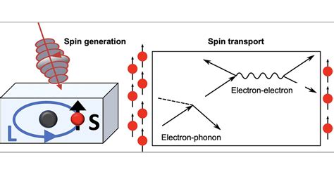 Ab Initio Predictions Of Spin Relaxation Dephasing And Diffusion In