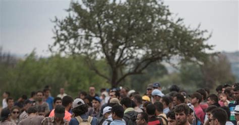 Texas El Paso Declares State Of Emergency For The Flood Of Immigrants