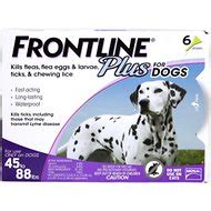 Frontline Plus vs. Frontline Gold for Dogs: Which One is Better