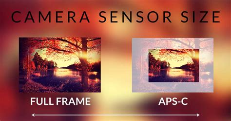 Camera Sensor Size Explained + Sensor Chart (2021)