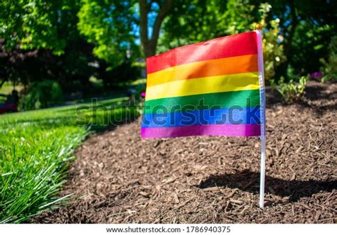 Small Gay Pride Flag Bed Black Stock Photo Shutterstock