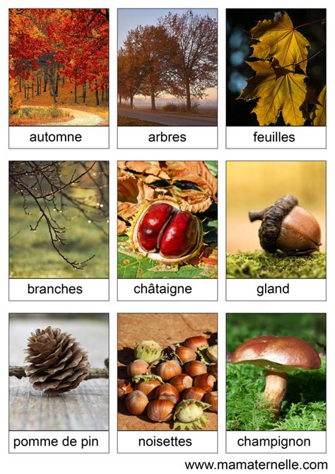 Cartes De Nomenclature Automne Ma Maternelle