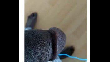 Sekou Dambakate En Pleine Marstubation XVIDEOS