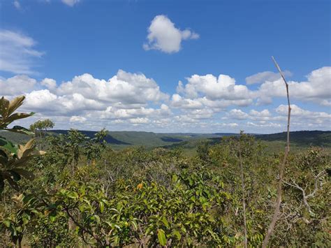 Cerrado Tem Pouco Morro - Salvar o Cerrado exige que Brasil converta ciência em políticas ...