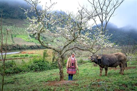 Facts about bull sharks? - factstraits.com
