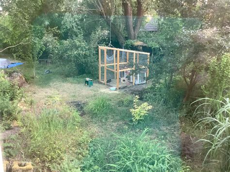 Kaninchen ins Häuschen oder nicht? (artgerechte Haltung)