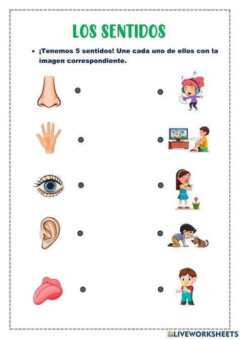 Los 5 Sentidos Worksheet For Nivel Inicial Actividades Interactivas