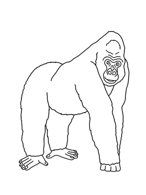 Disegni Di Gorilla Da Colorare Disegni Colorarecom