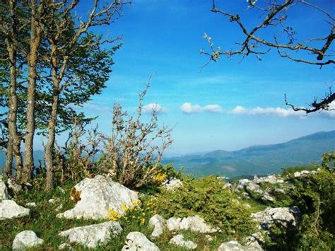 Oasi E Parchi Naturali In Basilicata Basilicata Oasi E Parchi