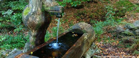 Quellwasser Bayerischer Wald Quellen I D Oberpfalz And Niederbayern