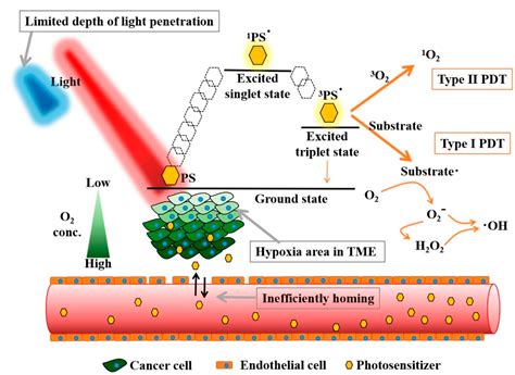 Advanced Light Source Technologies for Photodynamic Therapy of Skin