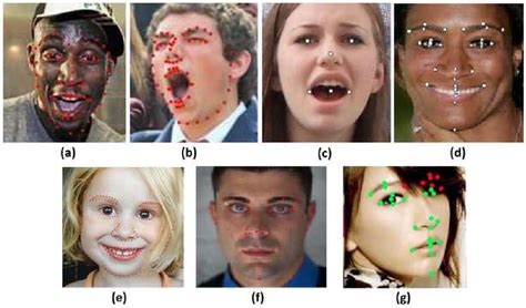 Facial Landmark Detection Evaluation On Mobio Database Paper And Code