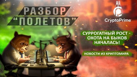 Охота на быков началась. Ловушки готовы. - YouTube