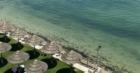 Top 15 Beaches to Visit in Kuwait | Kuwait OFW