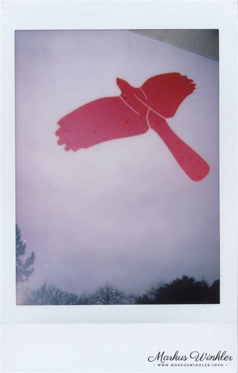 Fujifilm Instax Mini 8 im Test