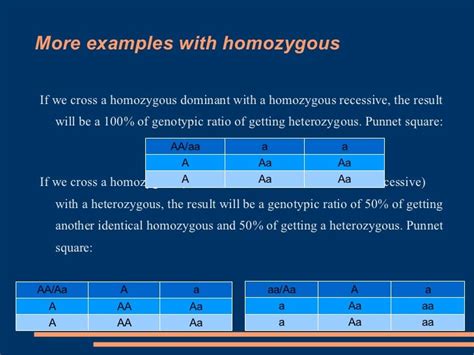 Example Of Homozygous Dominant Genotype