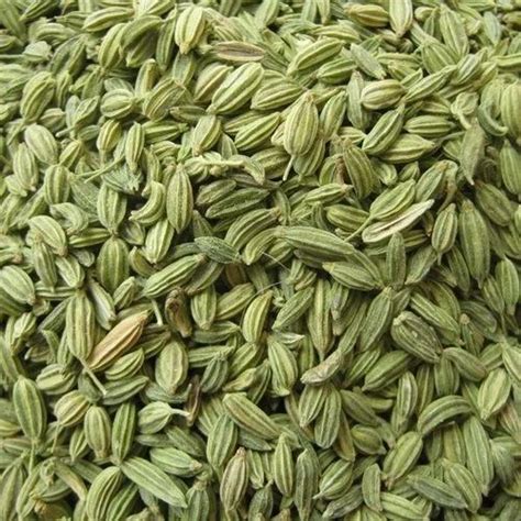 From Farmer Green Natural Fennel Seeds Packaging Type Pp Bag