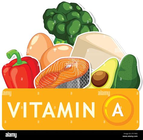 illustration   nutritious foods rich  vitamin  stock vector image art alamy