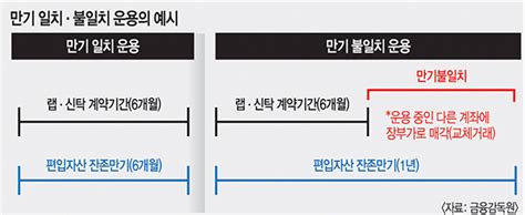 ‘랩·신탁 사태 키운 증권사 미스매칭 운용 칼 빼든 국회 국민일보