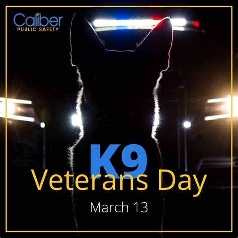 K9 Veterans Day Caliber Public Safety