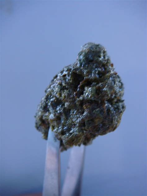 Honey Bud High Grade Cannabis Dipped In Oil Pictures Images