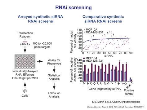 PPT - Defining the functional cancer genome using RNAi analysis and ...