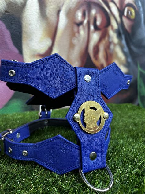 Top Dog Harness Blue Thetopdogpetstore