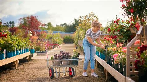 Top Ten Garden Centres In And Around Bridport Northover And Gilbert