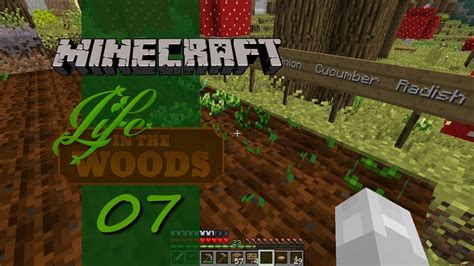 Minecraft Life In The Woods Ep 7 Seeds Of Change YouTube