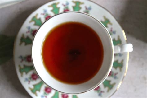 Nectar Leaf Exotic Elixir Tea Review Is It Good Iw Blog