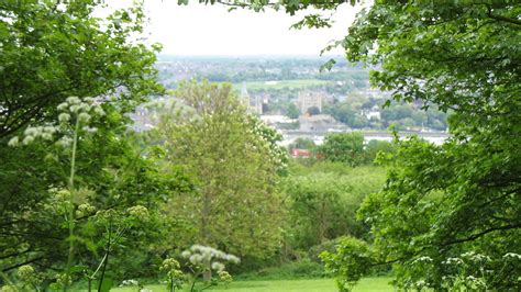 Petition · Reject The Plans To Build Houses In Broomhill Park ·