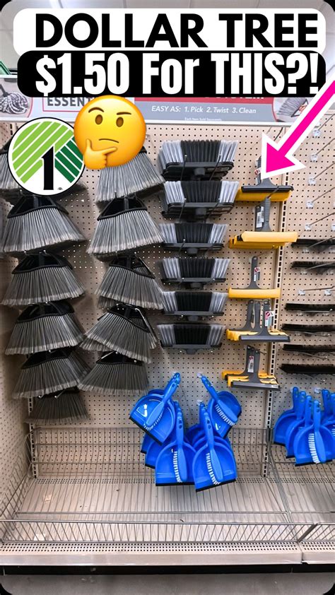 Dollar Tree PRO shares amazing new high-end finds that are only $1.25