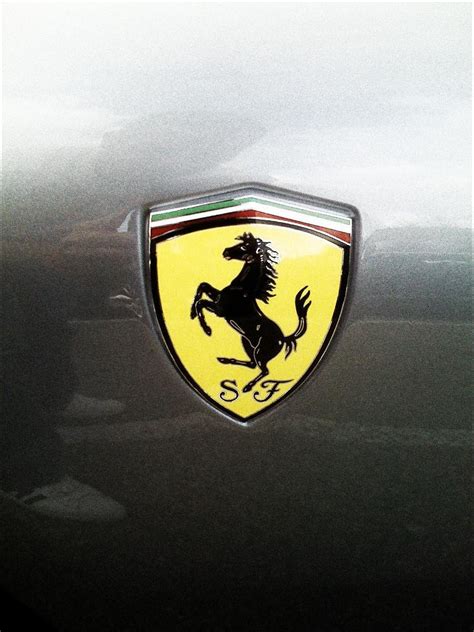 Ferrari Logo Pony Logo On The Hood Of A 599 Gtb Fellowship Of The