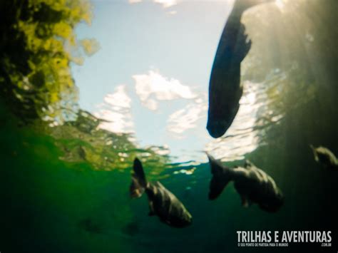 Um mergulho nas águas quentes do Hot Park Viagens Possíveis