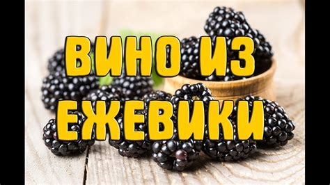 Вино из ежевики в домашних условиях. Ежевичное вино своими руками. Как ...