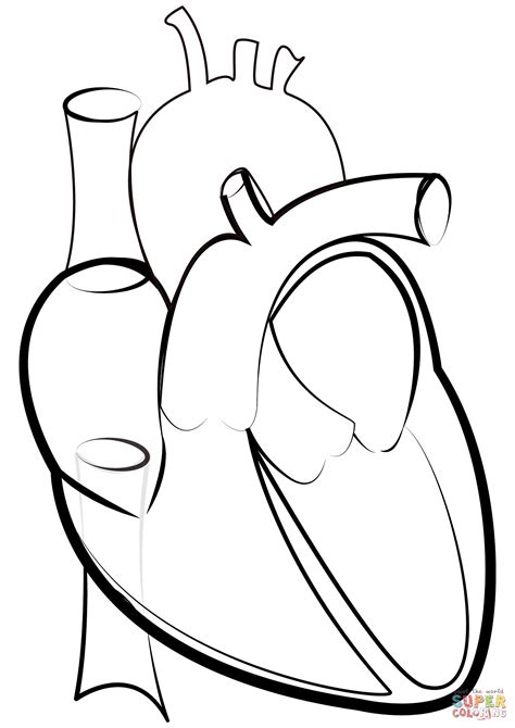 Corazon Para Colorear Preescolar