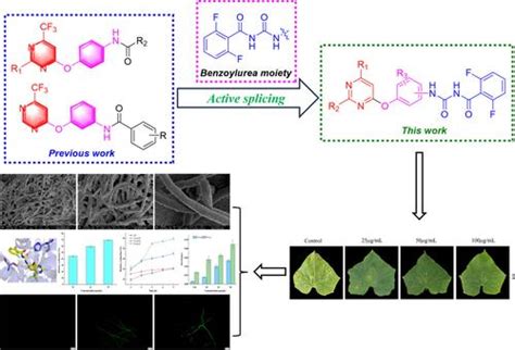 Design Synthesis Molecular Docking And Antimicrobial Evaluation Of