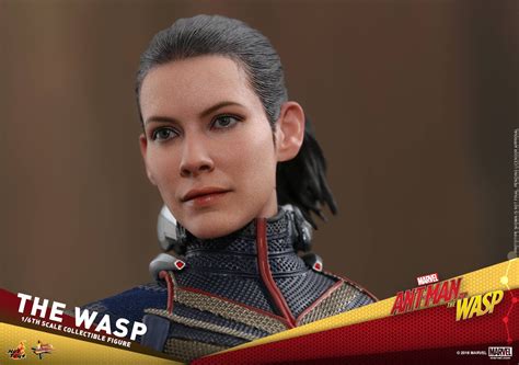 Hot Toys蟻俠2黃蜂女現身黃蜂女 The Wasp 1 6比例珍藏人偶登場 Toys Zone D 玩具兄弟 Figures Price List Reviews