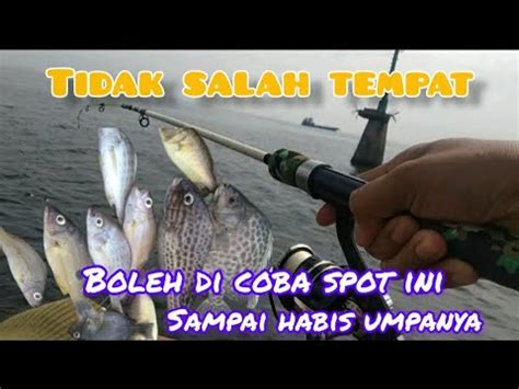 Ternyata Di Tempat Tiang Hijau Ikan Nya Rakus Rakus Muara Baru Dam