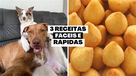 Receitas Pet F Ceis E R Pidas Para Voc Fazer Agora Mesmo Compilado