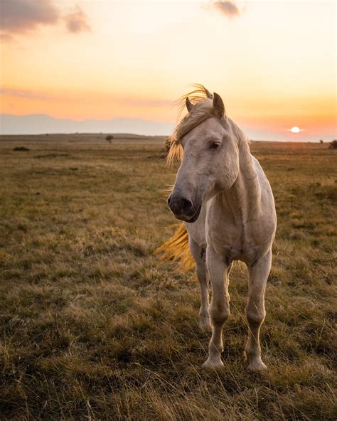 Best Bosnian Images On Pholder Balkan You Earth Porn And Okbuddyretard