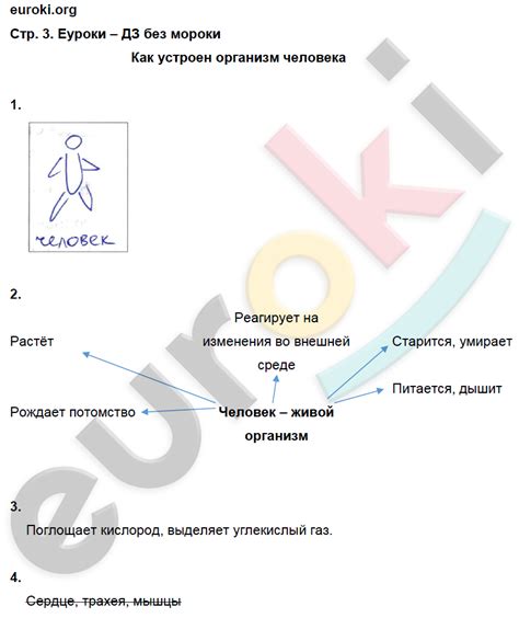 ГДЗ Номер стр. 3 Oкружающий мир 4 класс Виноградова Рабочая тетрадь