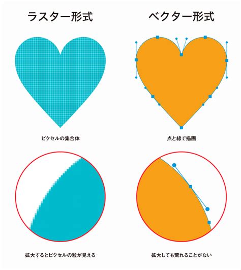 ベクターの基礎知識 ベクターの特徴とラスターとの違いをわかりやすく解説 321web