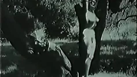 Free Pin Up Porn Videos XHamster