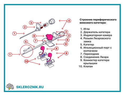 Алгоритм установки периферического венозного катетера