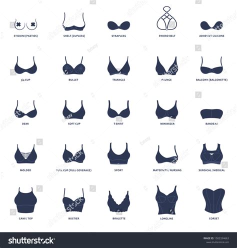 Types Bras Vector Collection Lingerie Set Stock Vector Royalty Free