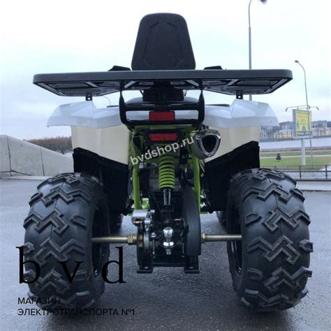 Бензиновый квадроцикл ATV 200 WILD TRACK LUX – купить по цене 177 950 ...