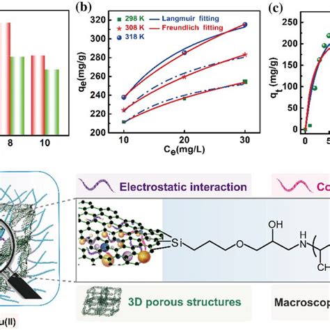 A The Influence Of Solution PH On The Adsorption Capacity Of Cu II On