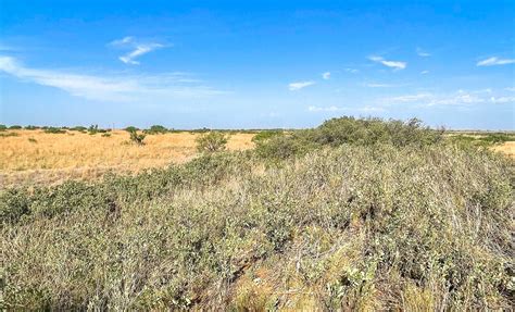 180 Acres In Motley County Texas
